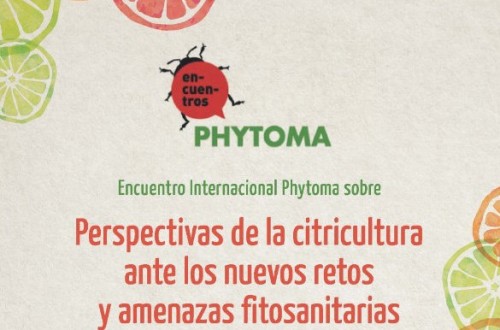 Phytoma reúne a los principales expertos internacionales en citricultura para abordar las amenazas del sector