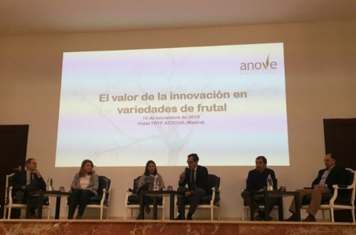 Sin innovación no se sostendría la producción frutícola española