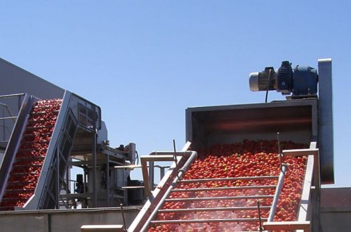 Tradecorp obtiene el registro de Boltex C, antimildiu para tomate de industria