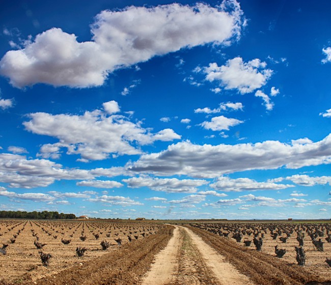 Expertos de la Universidad de Wageningen recomiendan una buena gestión del suelo frente al cambio climático