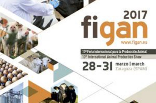 El certamen Figan 2017 ya cuenta con el 80% de su superficie contratada