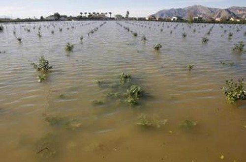 Unicaja amplía su línea de financiación para los afectados por los daños provocados por las inundaciones