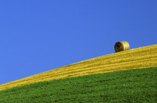 Termina 2016, un año récord para la agricultura española. Por Jaime Lamo de Espinosa