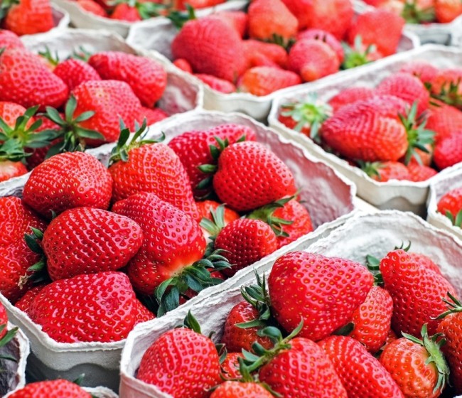 NSG consolida su posición en variedades de fresas con 58 millones de plantas en Huelva para la campaña 2025