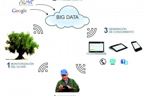 Los vectores de la innovación en el sector agrario