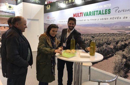 Todolivo presenta en Oleotec las últimas novedades en el cultivo del olivar en seto