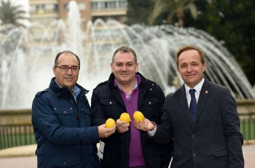 Ingenieros agrónomos e ingenieros técnicos agrícolas murcianos se unen a la promoción del limón