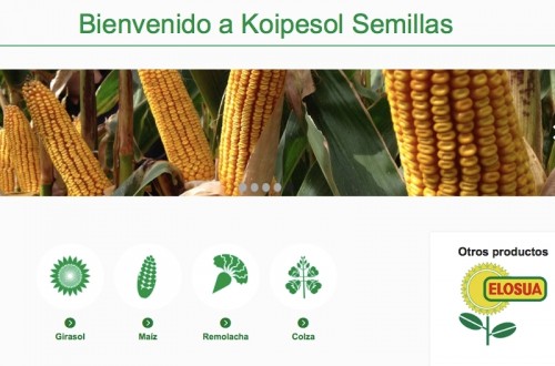 Nueva web de Koipesol Semillas