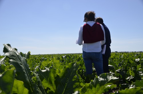 El barómetro de Galucho revela una visión positiva del sector agrícola a corto y medio plazo