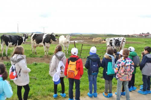 Escolares extremeños serán ganaderos por un día con un proyecto impulsado por Cooperativas Agro-alimentarias