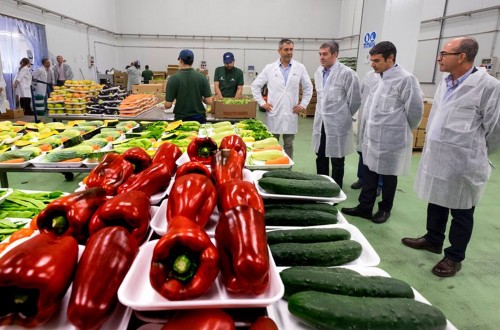 Crece la comercialización interior y exterior de frutas y hortalizas del Archipiélago canario