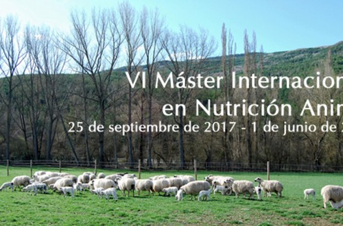 Abierto el plazo para matricularse en el VI Máster Internacional en Nutrición Animal