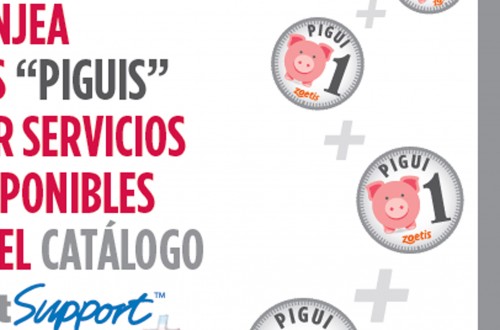 Zoetis lanza el nuevo VetSupport+: servicios personalizados a medida para el sector porcino