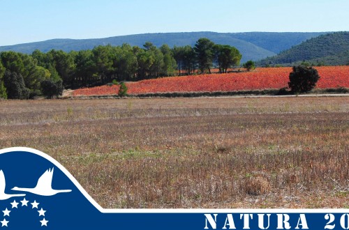 Más de 8 millones de españoles conocen la Red Natura 2000