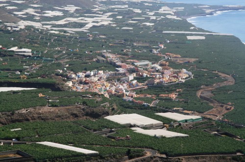 Canarias ha aportado 47 millones de euros a la ficha adicional del POSEI