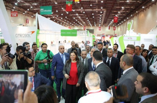 Ochenta y ocho expositores participarán en Mac Fruit Attraction El Cairo