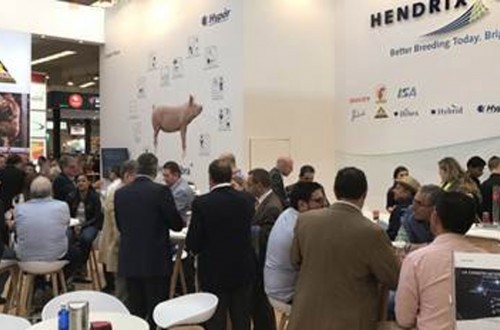 Hendrix Genetics presenta en FIGAN su nueva imagen corporativa y novedades