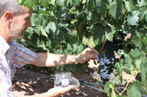 El CRDOca Rioja, acreditado por ENAC para la inspección de los vinos de Rioja