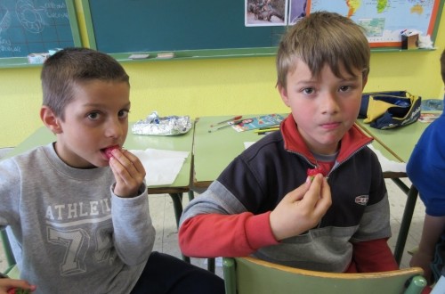 Publicado el RD 511/217 de fomento del consumo de frutas, hortalizas, leche y lácteos en el curso escolar 2017/18