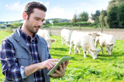 Mercatrace, startup de identificación del recorrido de los alimentos, consigue una financiación de casi 90.000€