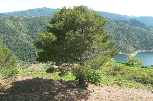 Jornada sobre espacios naturales protegidos y la propiedad privada