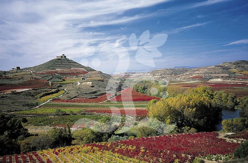 La DOCa Rioja aprueba la regulación de vinos de viñedos singulares y la elaboración de espumosos