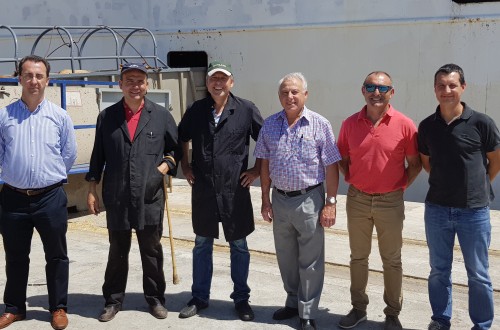 Primera exportación de vacuno de carne a Turquía desde el Puerto de Tarragona