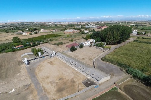 Castilla-La Mancha prepara cambios en la normativa que afecta a las granjas porcinas