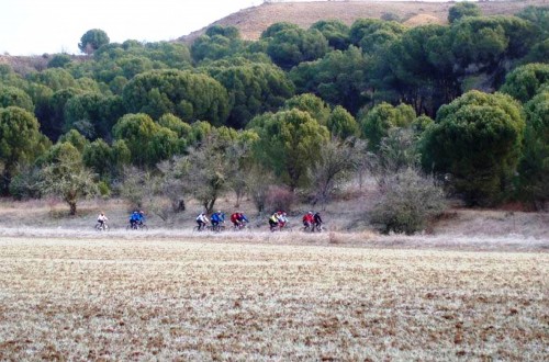 Varias asociaciones denuncian que el bosque zamorano de Montelarreina se encuentra amenazado