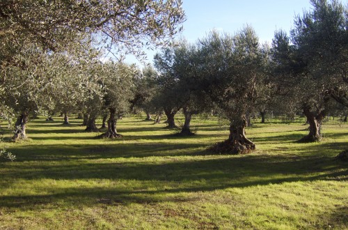 La asociación QvExtra¡ organiza una jornada formativa en Córdoba