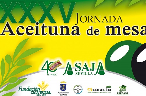 ASAJA-Sevilla celebrará en Pilas su XXXV Jornada de Aceituna de Mesa