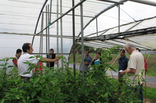 Unos 1.000 M€ de la CE a proyectos de I+D+i para una agricultura y alimentación sostenibles