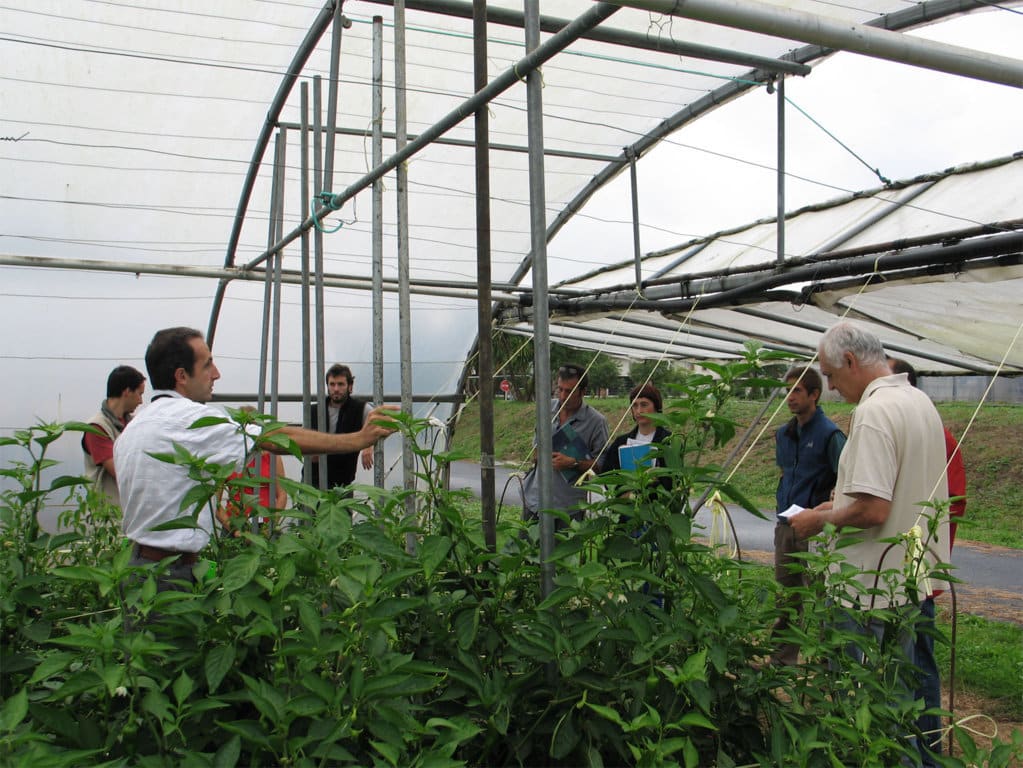 Unos 1.000 M€ de la CE a proyectos de I+D+i para una agricultura y alimentación sostenibles