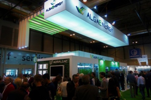 AlgaEnergy presenta en Fruit Attraction su nueva gama de bioestimulantes AgriAlgae Premium