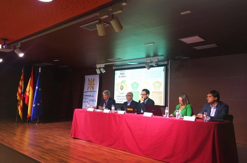 Plátano de Canarias y Asprocan, modelo organizativo de interés para la fruta de hueso