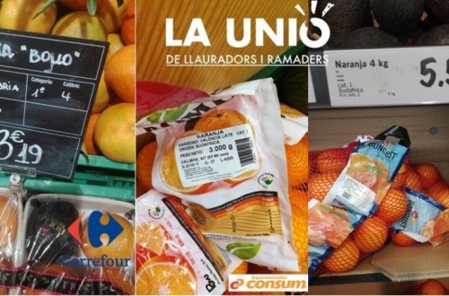 Naranjas sudafricanas en los lineales de los supermercados  en plena campaña citrícola española