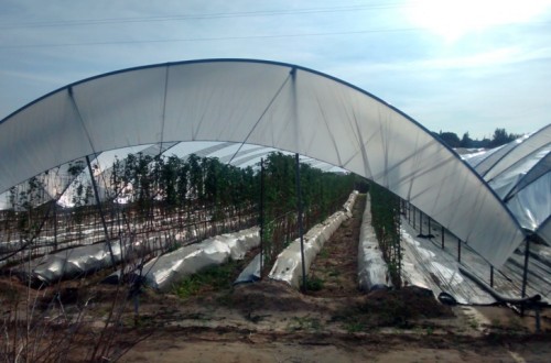 Cicloagro aumenta el número de puntos de acopio y recogida de plásticos agrícolas en Almería