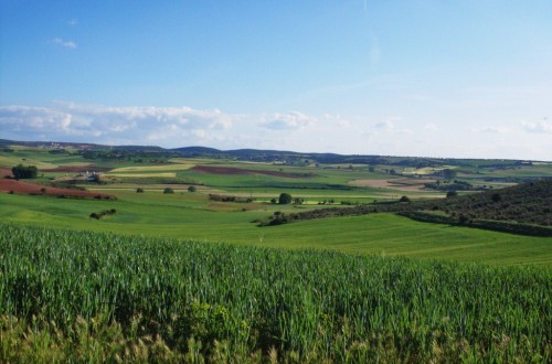 El pago medio por arrendamiento de tierras subió un 3% en 2016