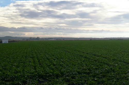 Cuarenta años defendiendo al sector de fertilizantes