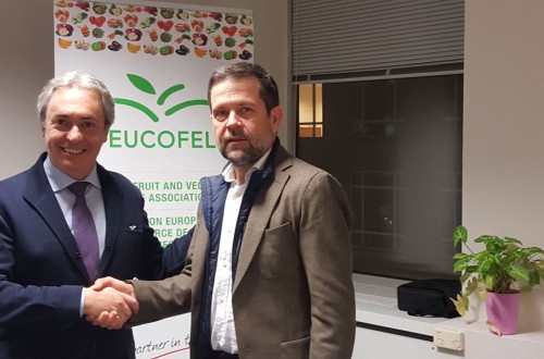 La Asociación Europea del Comercio de Frutas y Hortalizas elige a Juan Marín como presidente