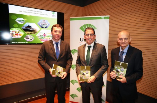 Fundación Unicaja publica su Informe Anual del Sector Agrario en Andalucía 2016