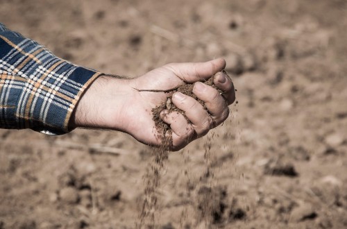 Balance 2017 UPA: un año dramático para el campo por la sequía y la inacción política