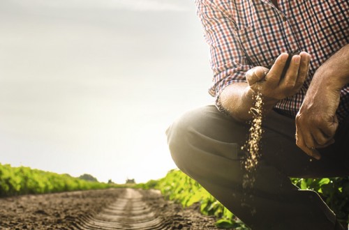 Continental lanza la campaña “Pasión por la tierra”, bajo la que englobará todas las actividades de su regreso al sector agrícola