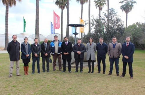 El consejero de Agricultura de Andalucía visita la estación experimental de Basf en Utrera