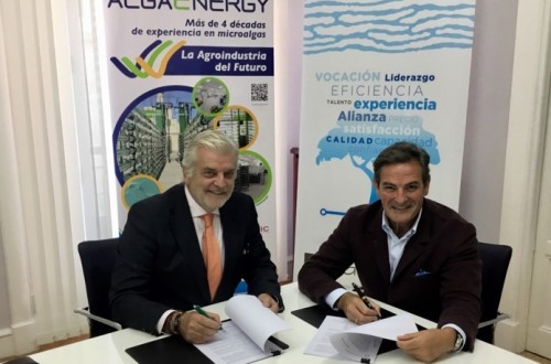 AlgaEnergy y DF Grupo se asocian para la distribución de los bioestimulantes agrícolas AgriAlgae