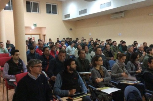 El sector citrícola andaluz se da cita en las Jornadas Técnicas del Ifapa Las Torres-Tomejil