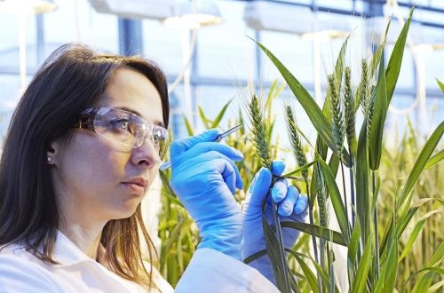 La CE permite la compra por BASF de parte del negocio de “Crop Sciencie» de Bayer