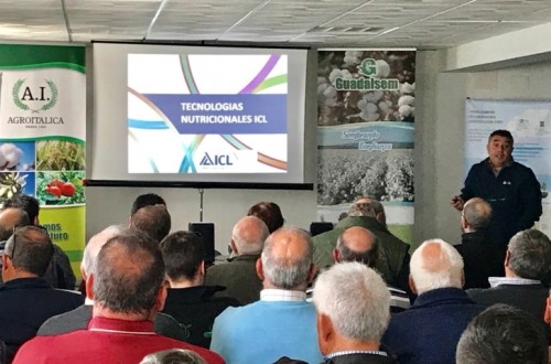 ICL participa en las Jornadas Técnicas de Guadalsem sobre algodón en el Bajo Guadalquivir