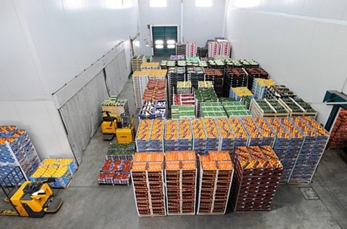 La importación hortofrutícola para fresco desde países terceros crece a doble dígito en valor