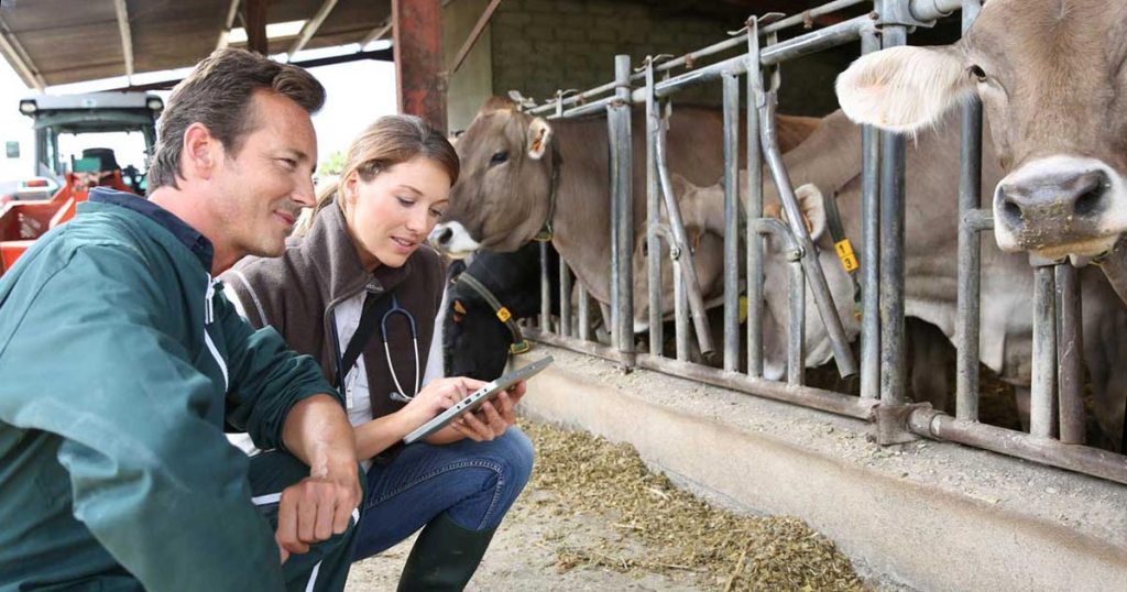 Control electrónico de uso de antibióticos en explotaciones de ganado para producir alimentos de consumo humano